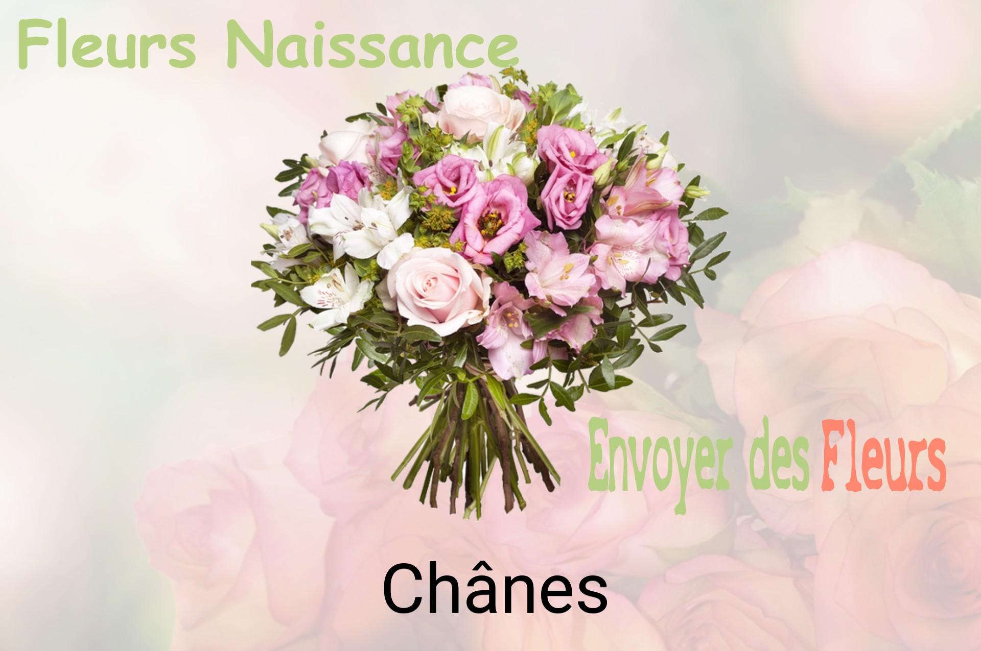 Bouquet de fleurs de naissance livré à Chânes