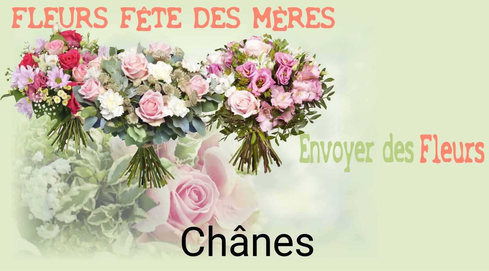 Bouquet de Fête des Mères livré à Chânes
